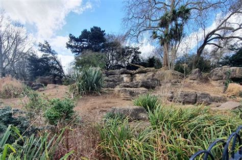 Plans to restore heritage cascades in Grade II* listed Battersea .